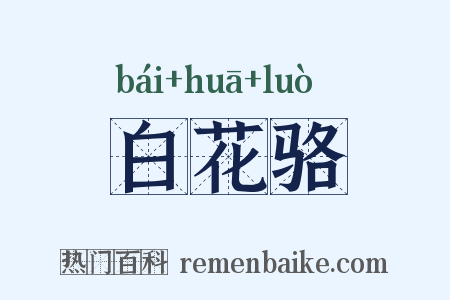 白花骆是什么意思的图片